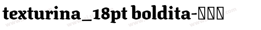 texturina_18pt boldita字体转换